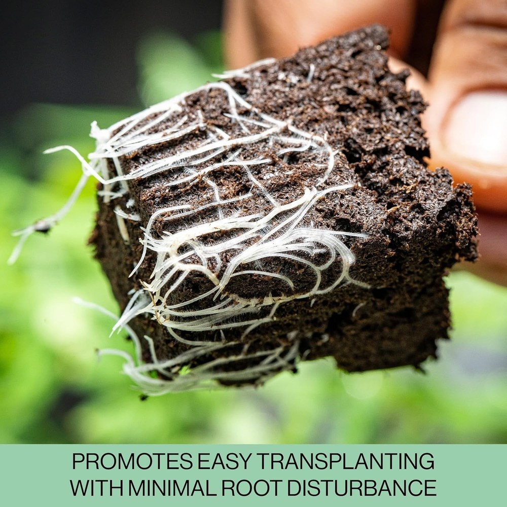 Durable 36-Cell Seedling Starter Trays with Efficient Drainage & Plant Stakes