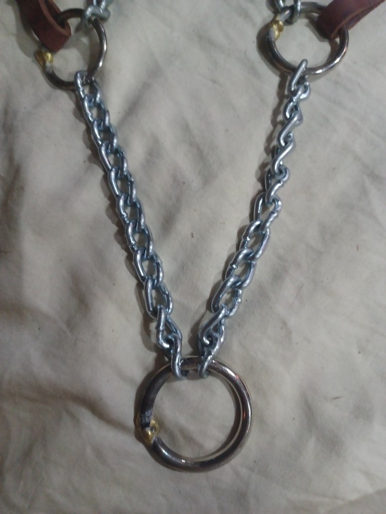 Natural Leather Halter