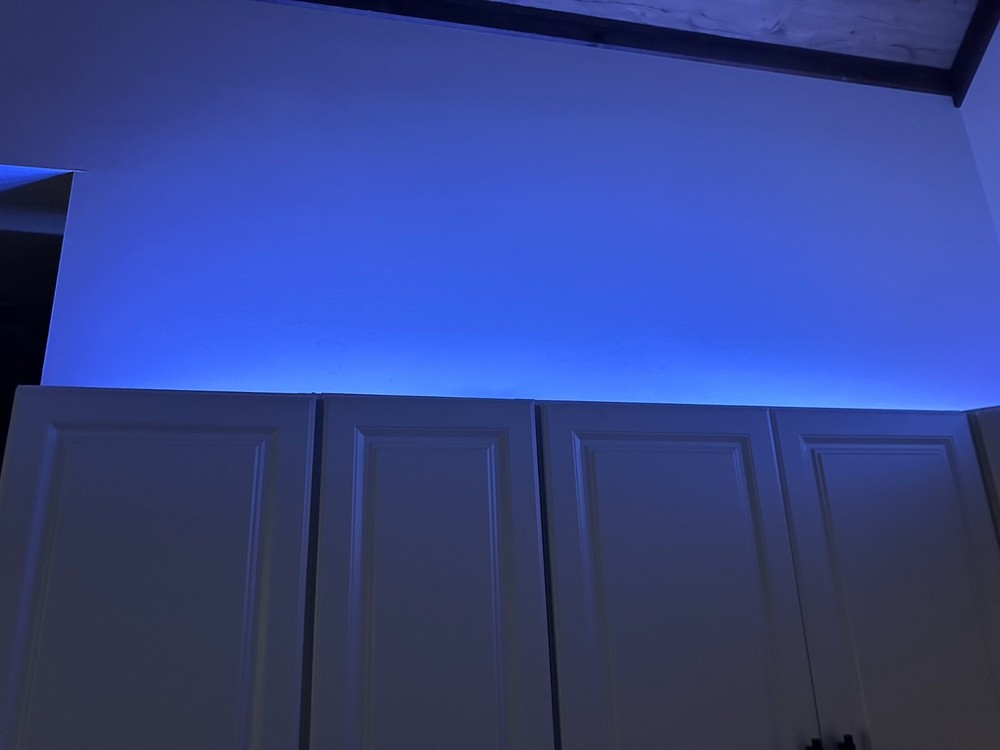 Animated USB Powered LED Light Strips with Remote 44"