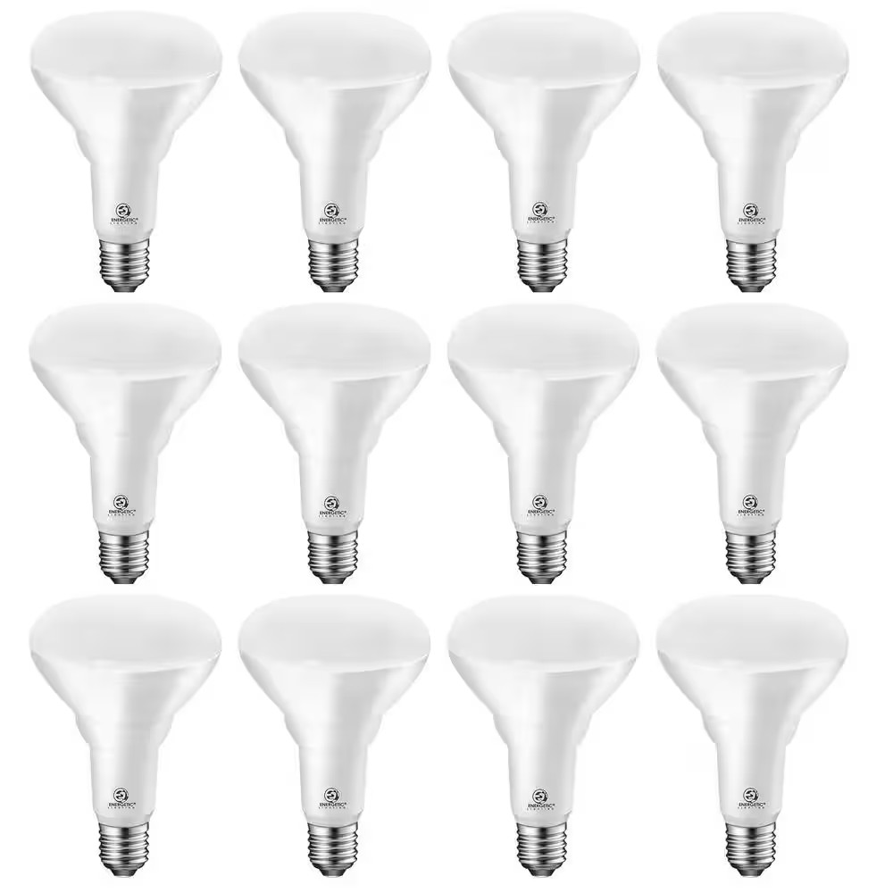 85-Watt Equivalent BR30 Daylight (5000K) Dimmable LED Light Bulb 900 Lumens (12-