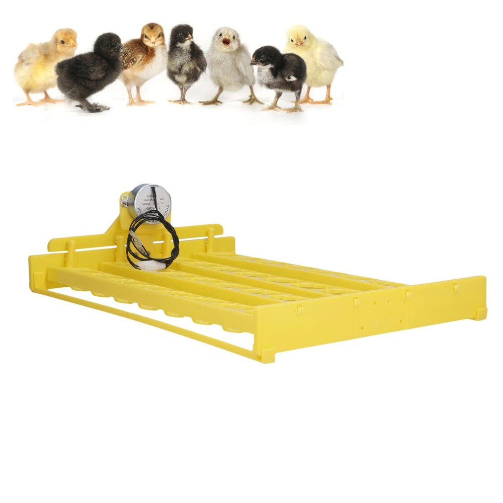 Plastic Egg Incubator Tray, Sufficient Power Safe Hatching Fully Automatic Eg...