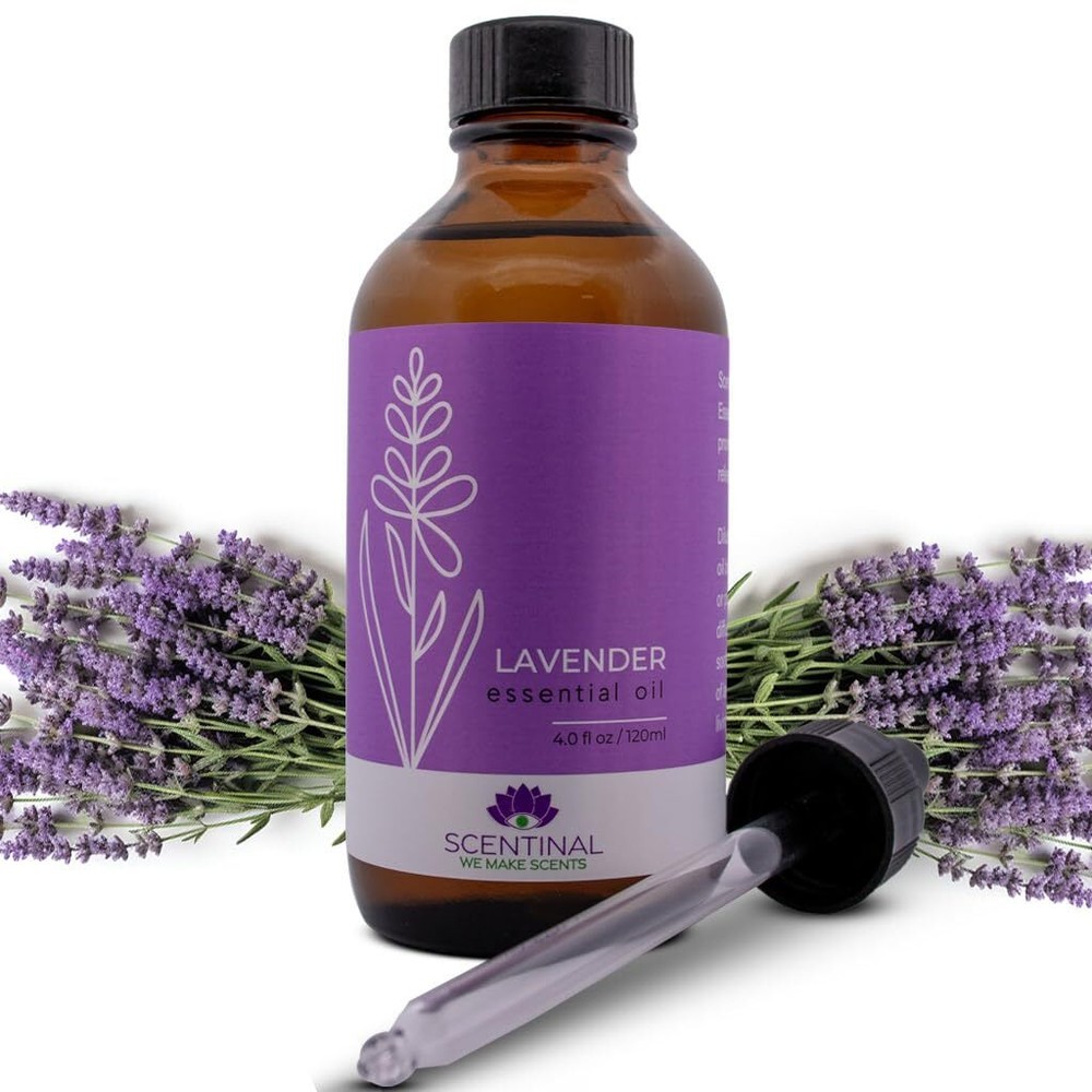 Scentinal Lavender Essential Oil - 100% Pure, Natural & Authentic - Extra Large