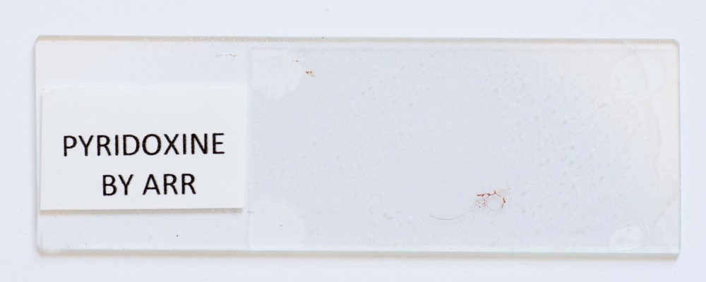 Microscope slide for polarization, Pyridoxine (Vitamin B6)