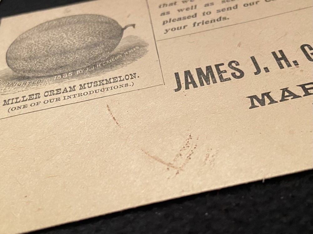 2 Antique SEED COMPANY MAILING ENVELOPES-BURPEE & JAMES GREGORY & SON-ca. 1900