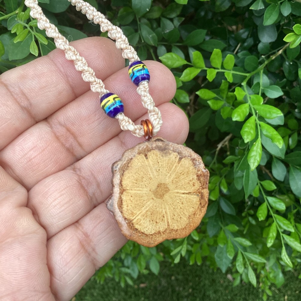 ayahuasca Pendant Necklace With Copper Chain