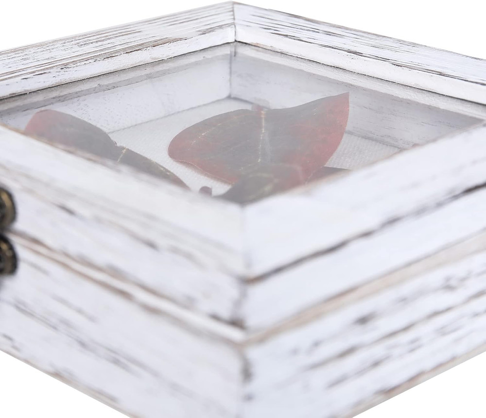 Shadow Box 6X6, Hinged Shadow Boxes Display Cases for Seashell Antique Ticket St