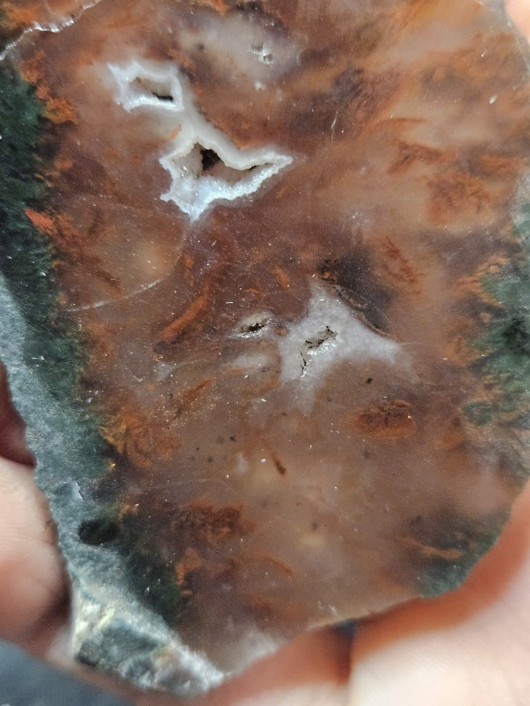 Plume Agate Multicolored Slab Specimen (1.76oz)