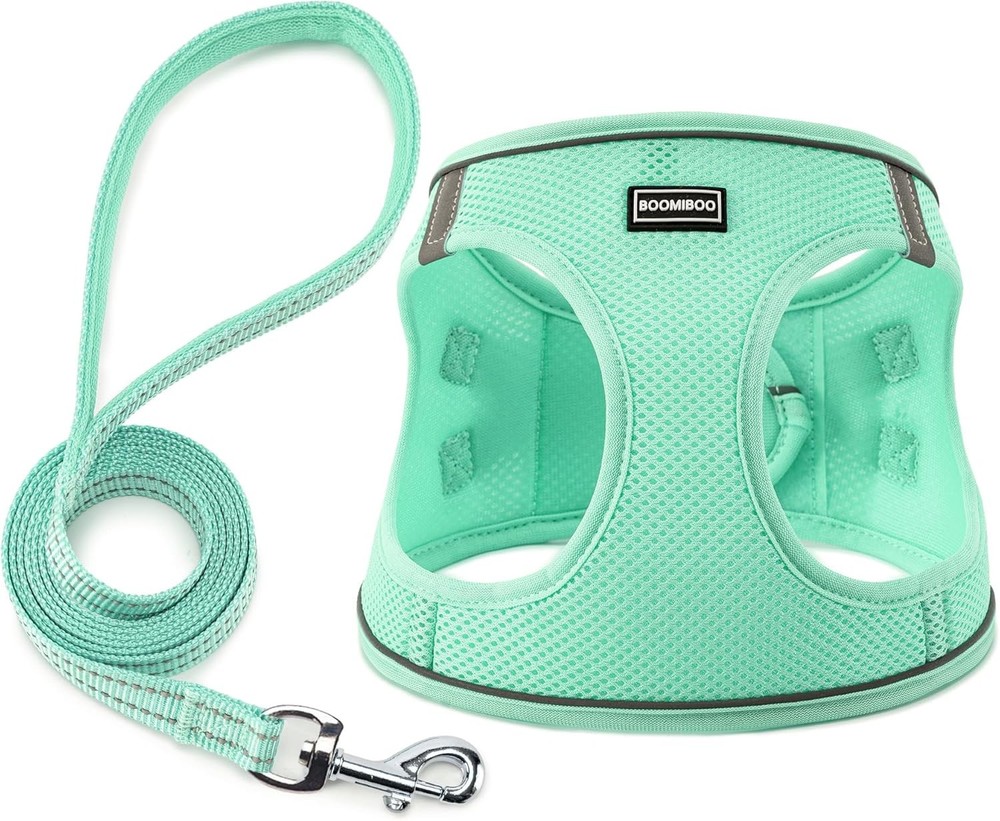 Dog Harness with Leash Set, No Pull Adjustable XXS(Chest:10-12), Green