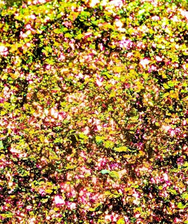 ULTRASHIFT CHAMELEON FLAKE - SATURN