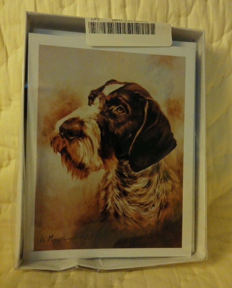 German Shorthaired Pointer Dog Note Cards W/Envelopes by Ruth Maystead