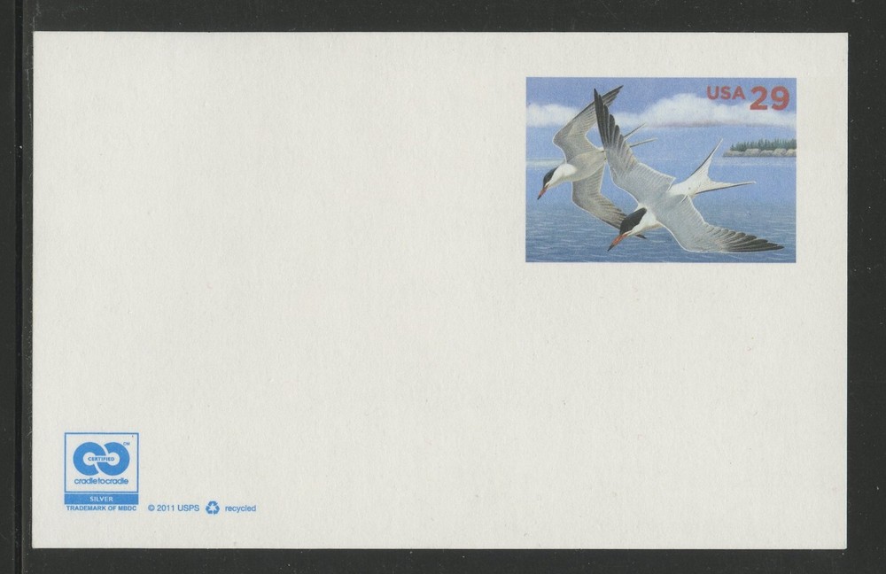 US UX621, 2011 29c COMMON TERN, POST CARD, (US3919K)