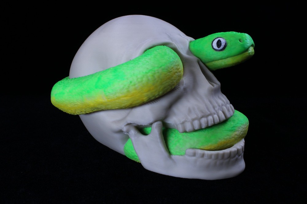 A 3D Printed Skull with Snake Crawling Through It (Hand Painted)