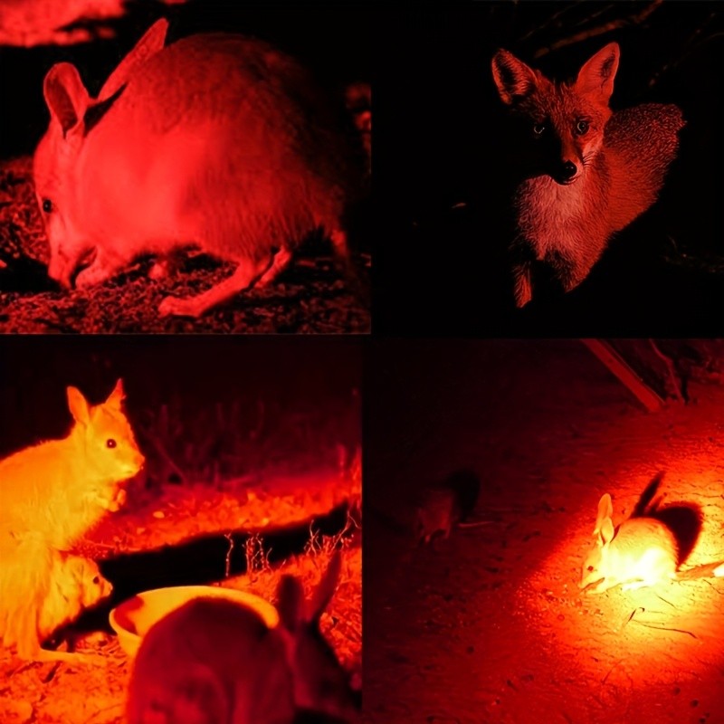 500Yards Hunting Red LED Flashlight Torch Predator Night Light 20mm Rail