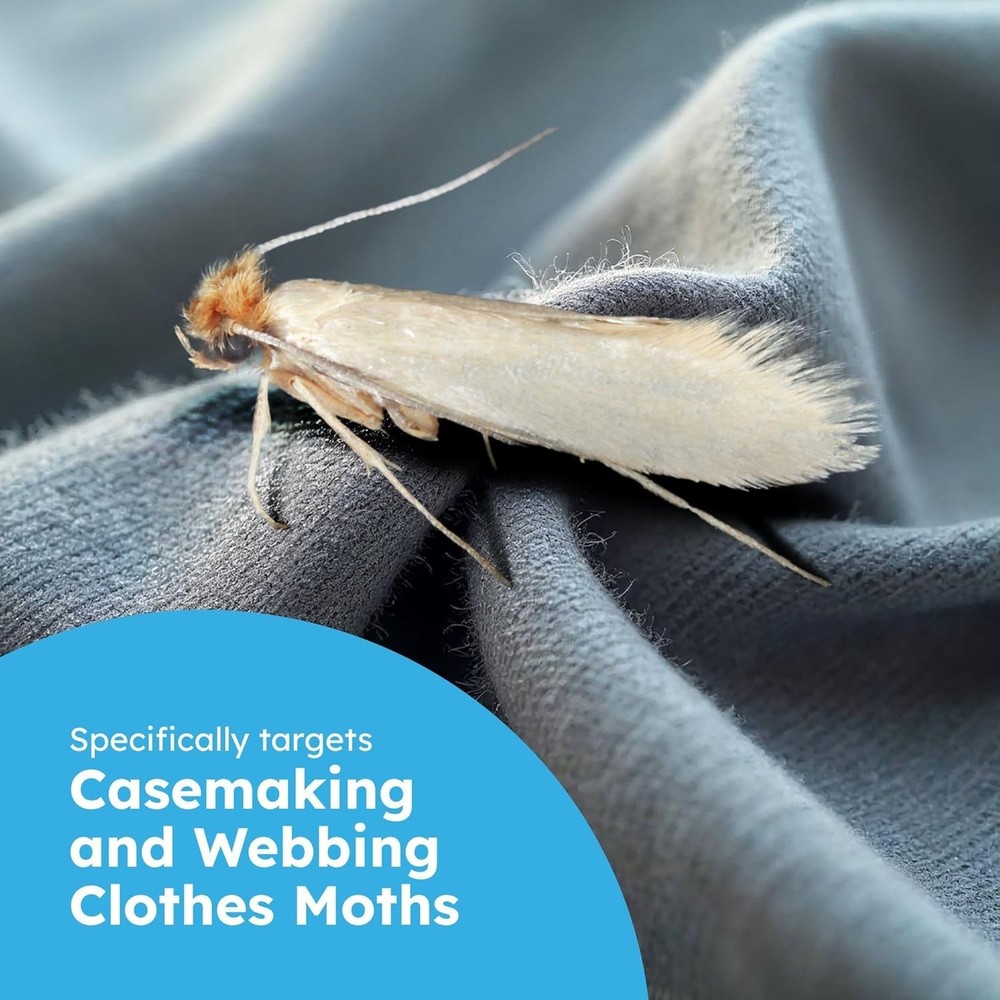 6 Count Clothes & Pantry Moth Traps - Safe & Effective Non-Toxic Solution