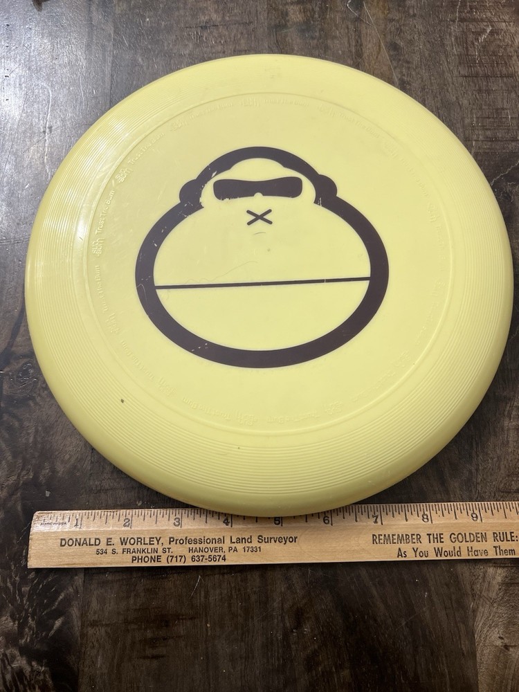 Sun Bum Ultimate Disc Beach Flyer, 10.75 Inch