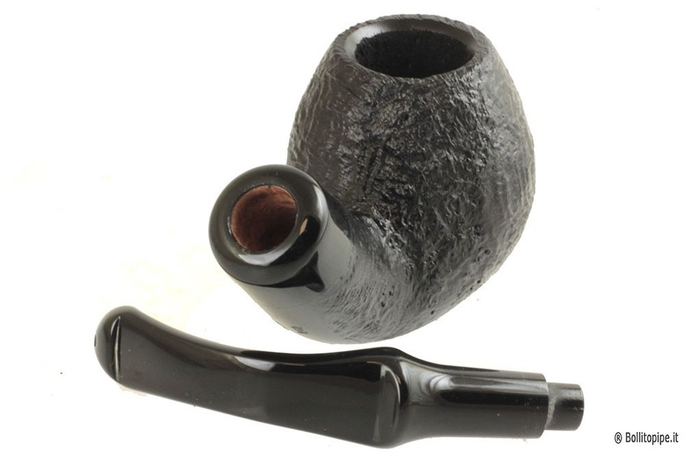 Peterson Halloween 2025 System Standard B42 “Darwin“