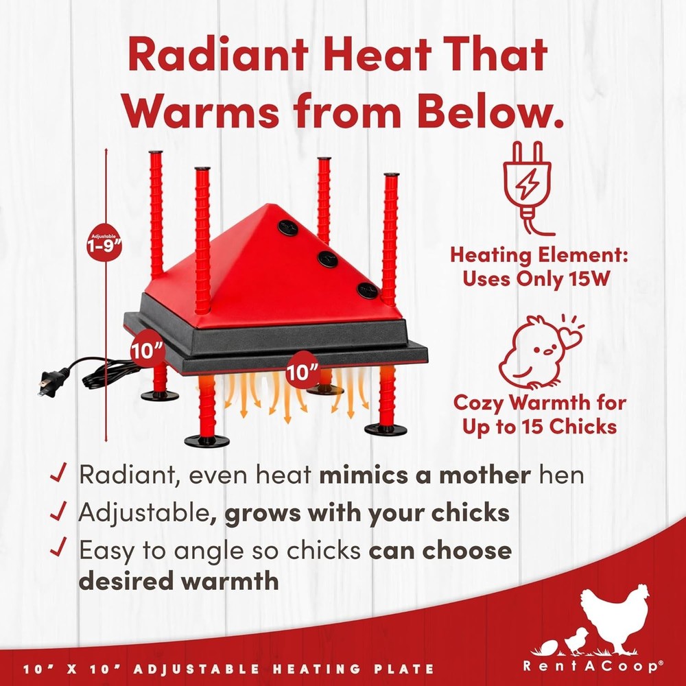 10x10" Chick Heating Plate with Anti-Roost Cone