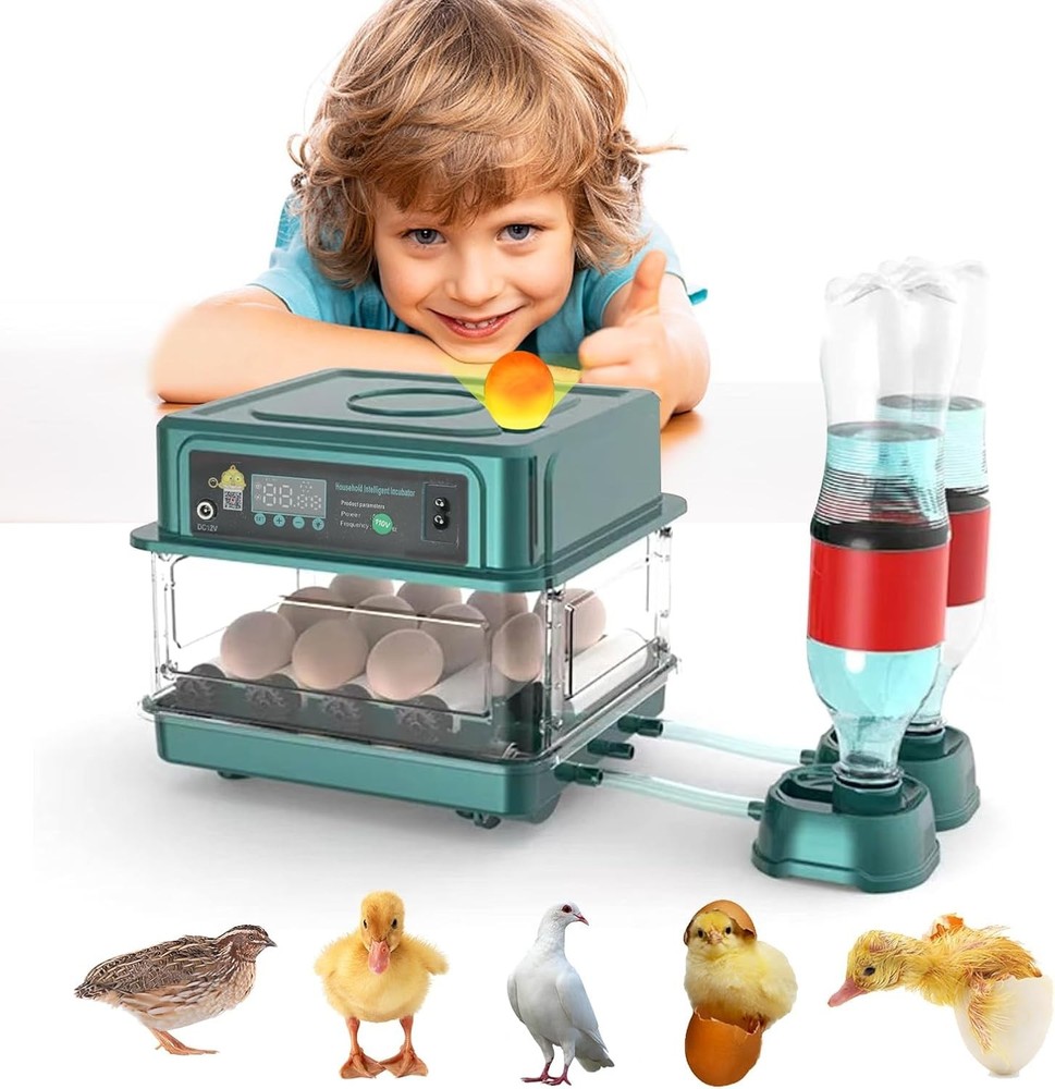 12 Incubators for Hatching Eggs Incubator with Automatic Egg Turning and Humid