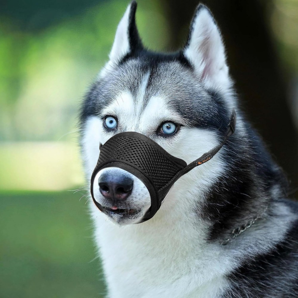 Comfortable Air Mesh Muzzle for Dogs - Anti-Biting & Drinking Space, XL Size