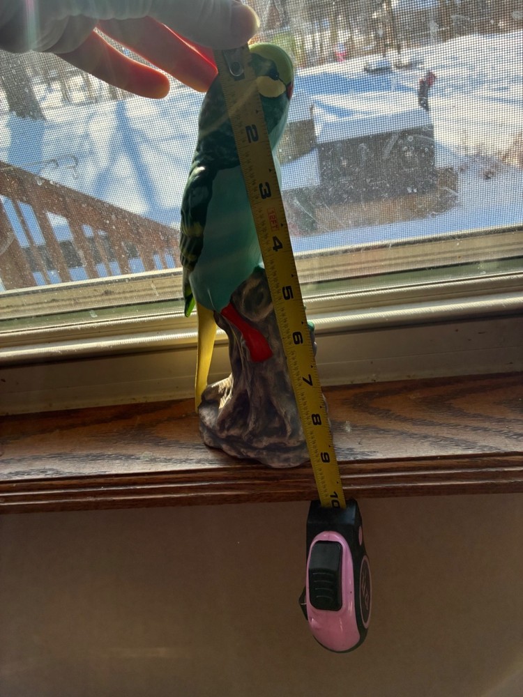 parrot decoration; multicolor