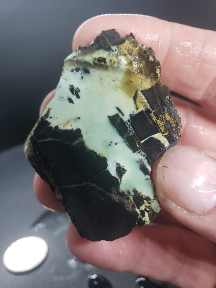 Nevada Gecko Variscite Slab