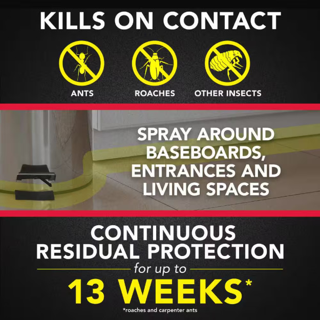 Raid Defend Ant and Roach Insect Killer, Indoor Insecticide, Lemon Scent, 20 oz.