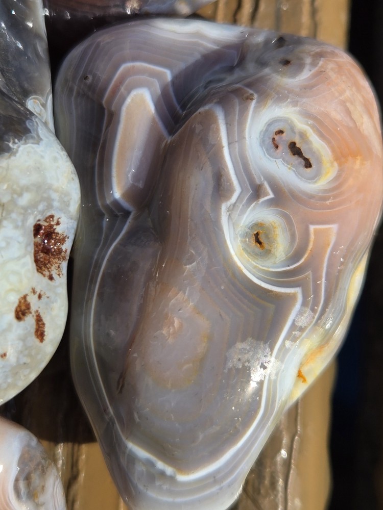 Botswana Agate Selects - WILD ONES - Rough, Natural, Not Polished A+ Grade