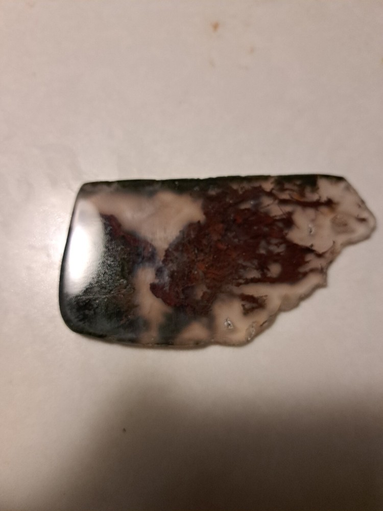 Moss agate Maury Mountain