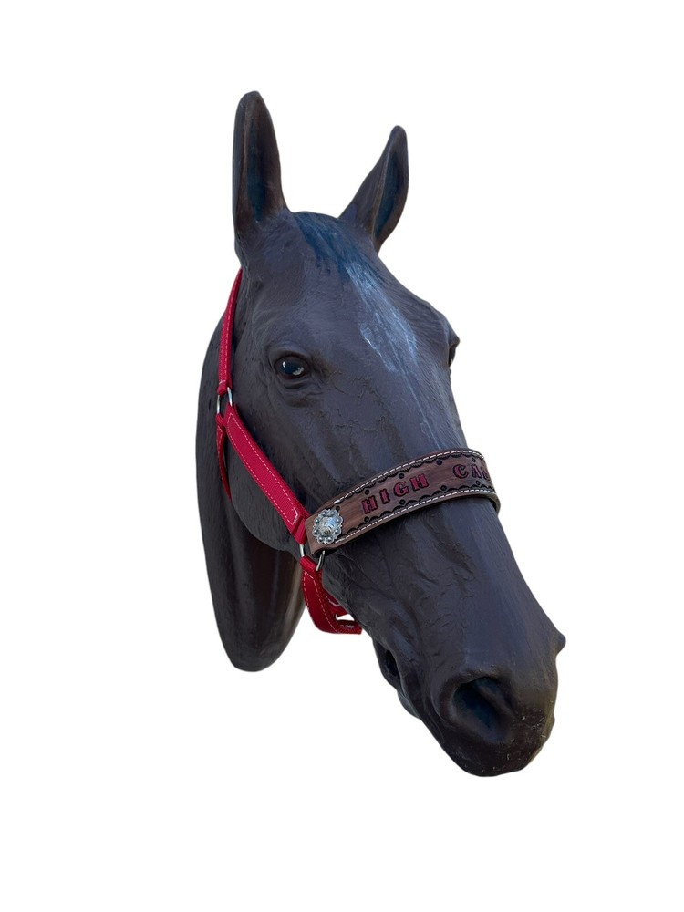 Personalized Nylon Red Horse Halter