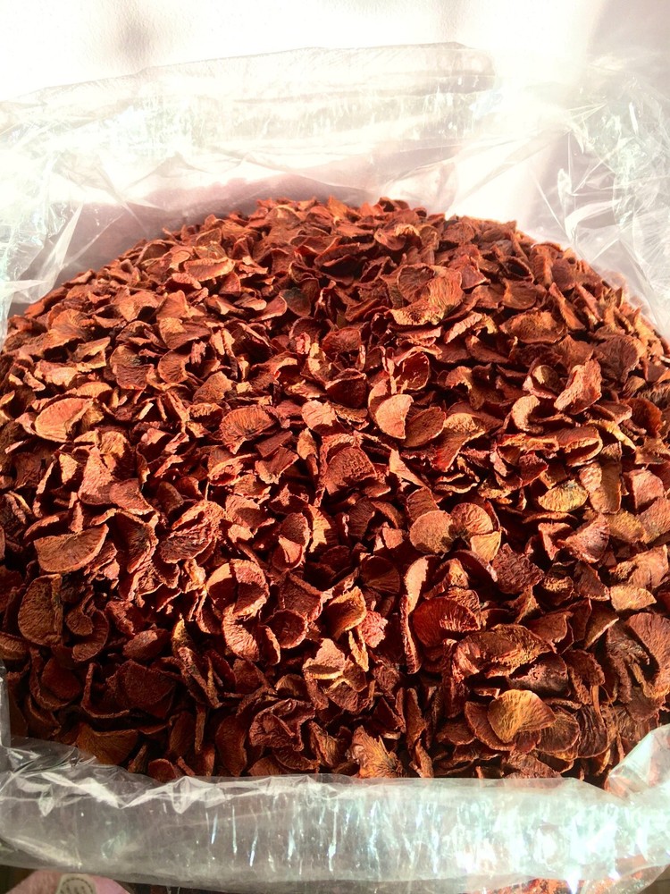 Betel Nut Dried chewing 150 grams From Thailands
