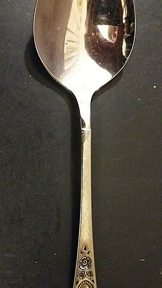 Oneida Vignette Stainless Oval soup spoon 6 7/8"