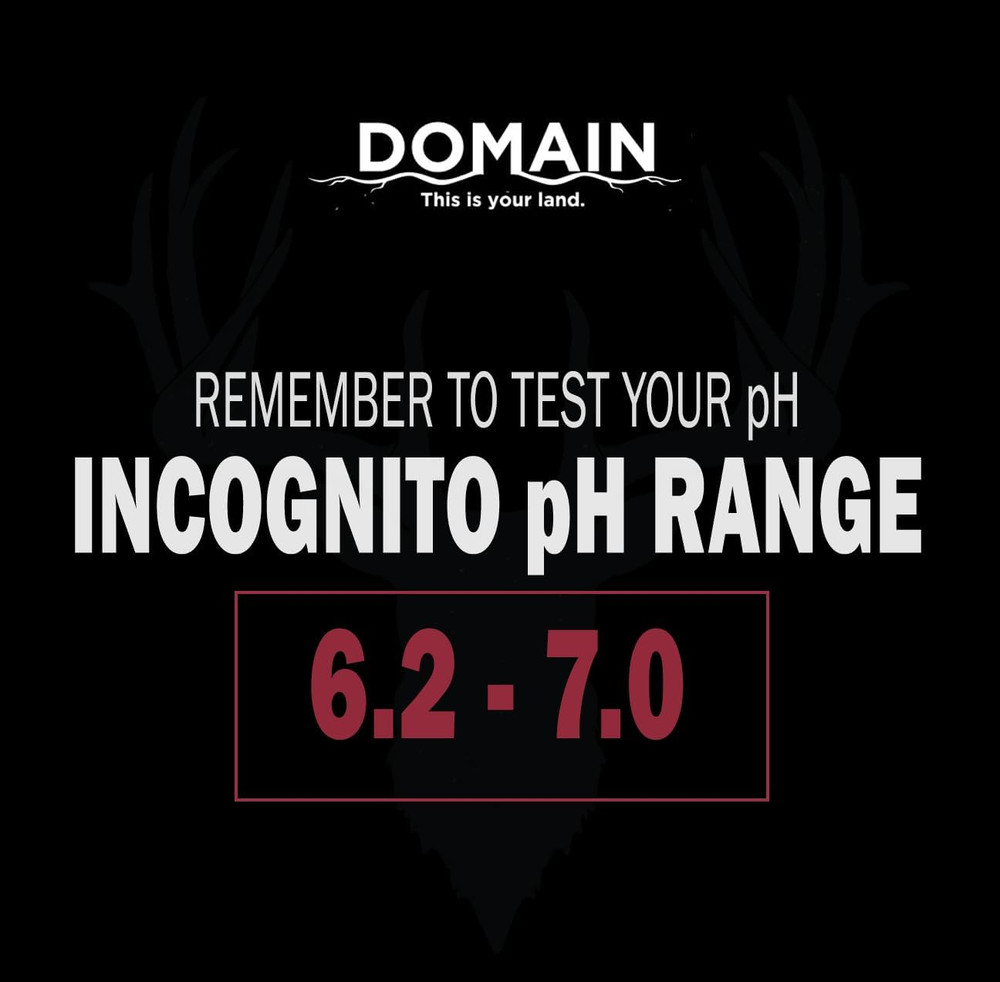 Incognito Deer Plot Seed, 1/4 Acre, Create Concealment to and from Stand or Plot