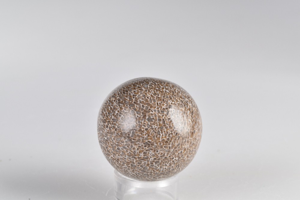Dinosaur Bone Sphere from Morocco 4.3 cm # 21232
