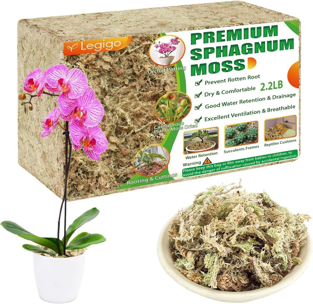 Natural Succulent Carnivorous Moss - 2.2lbs