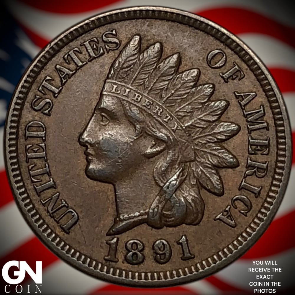 1891 Indian Head Cent Penny Z6885
