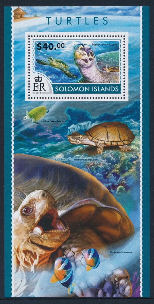 2015 SOLOMON ISLANDS TURTLES MINI SHEET ($40) FINE MINT MNH