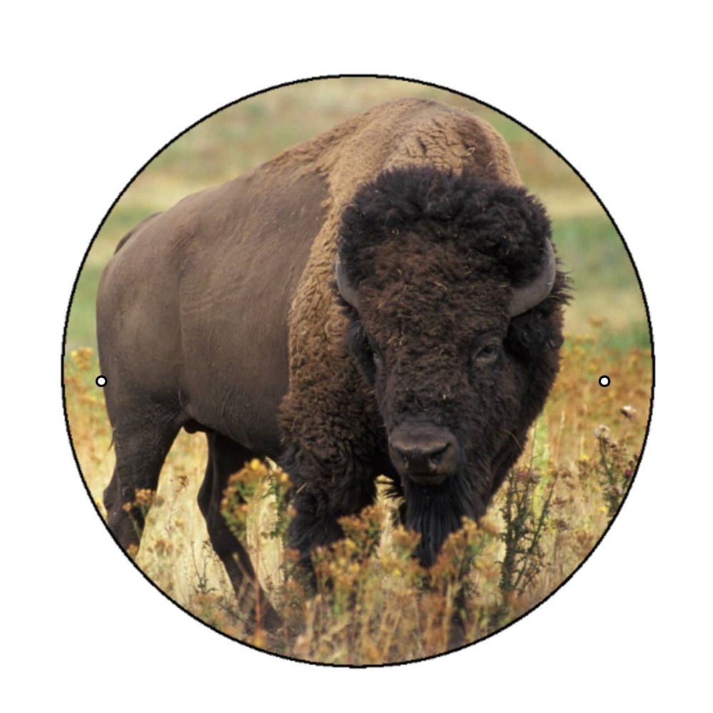 BISON WALKING STICK MEDALLION
