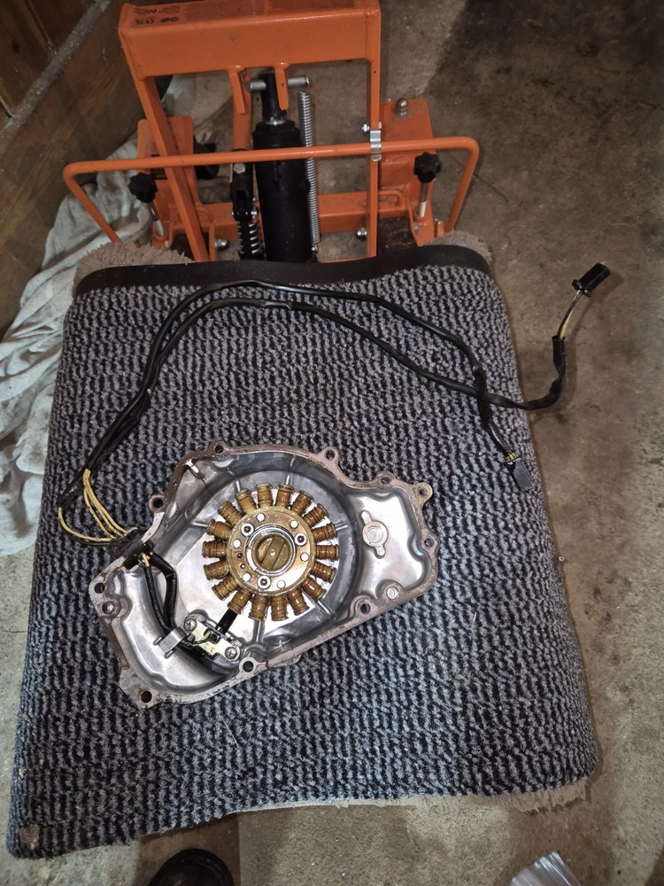 Kawasaki EL250 Eliminator Ex250 Engine Side Casing/ Stator Unit Coil.