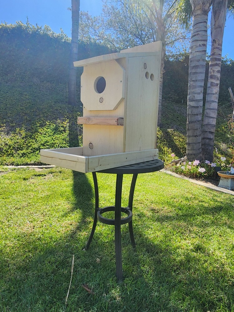 Custom Made Owl Box/House