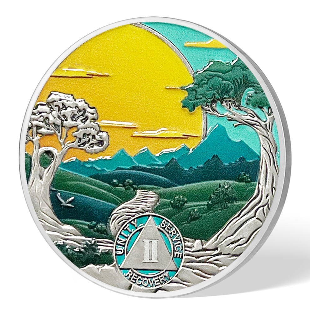 2 Years Sober AA Two Year Sobriety Coin AA Chips Alcoholics Anonymous Medallion