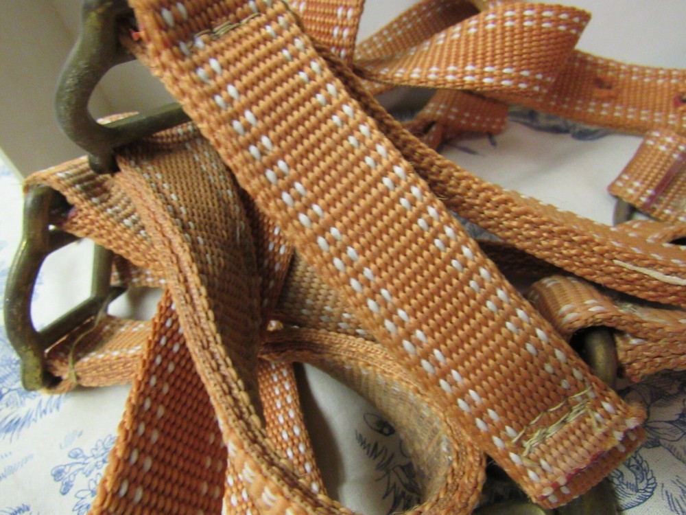 Fabri Tech Web Halter & Lead