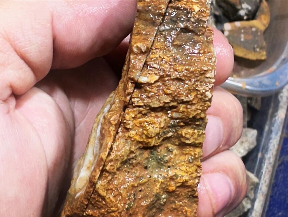 Dinosaur bone rough fortified wash split.