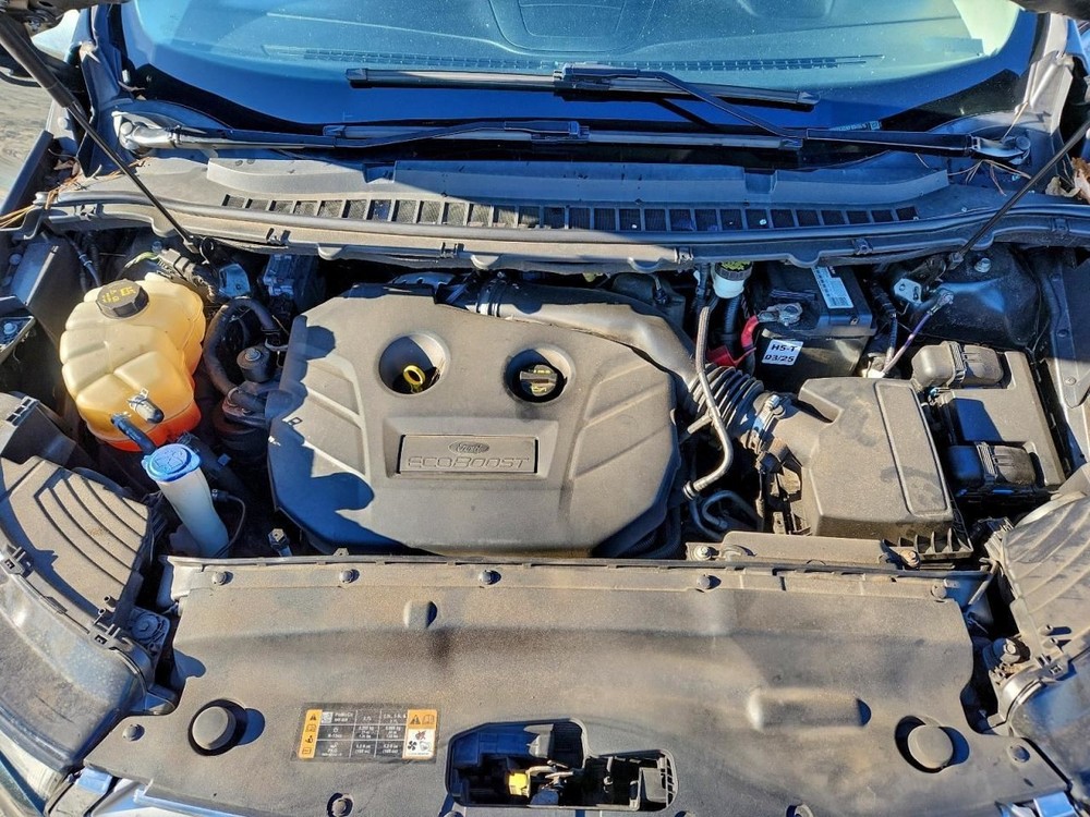 EDGE 2015 Glove Box 4924732