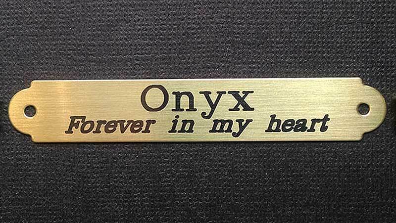 SADDLE PLATE 2 1/2" x 3/8" Custom Engraved Solid Brass Bridle or Brow