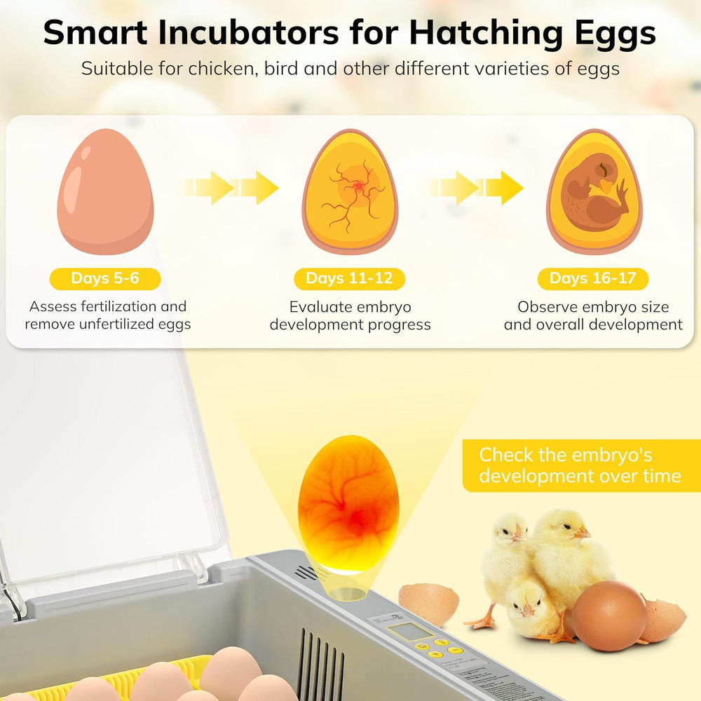 36-60 Egg Incubator with Automatic Egg Turning and Humidity Control, Chicken Egg