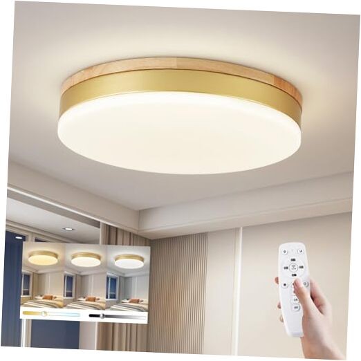 Modern Dimmable Ceiling Light with Remote, 11.8in Flush Mount Ceiling Gold
