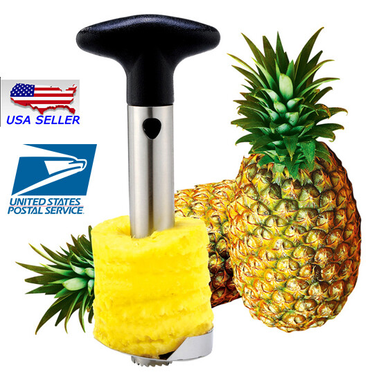 Fruit Pineapple Corer Slicer Peeler Kitchen Tool Stainless Steel Easy Gadget