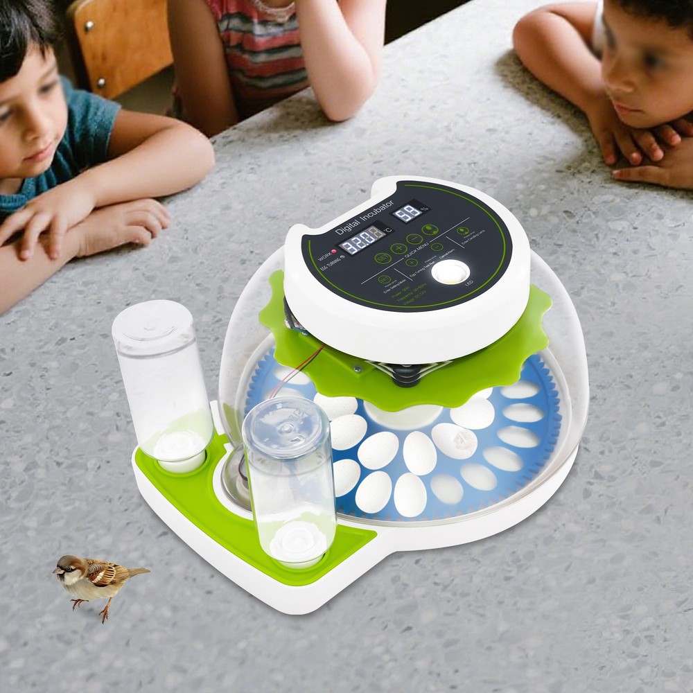 33 Eggs Quail Egg Incubator Modern Small Quail Brooder Poultry Quail Incubator