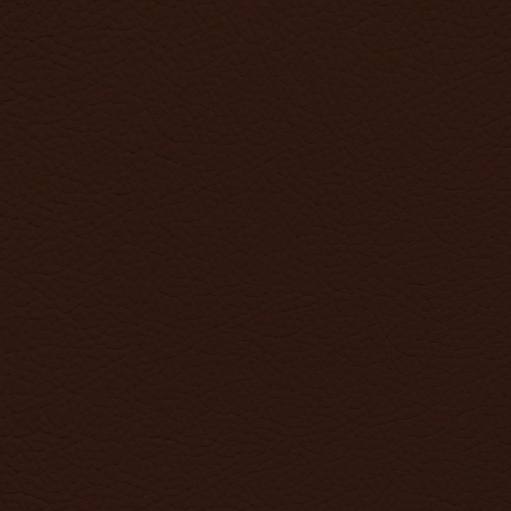 Audi Nougat Brown Leather Dye