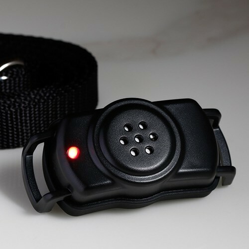 Dog Bark Control Collar - Effective Ultrasound Humane Training 5 Sensitivity